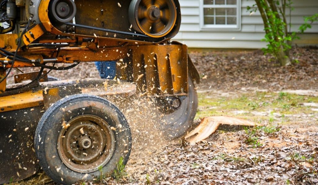 how to use a stump grinder