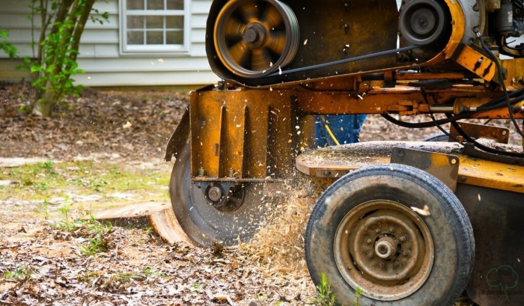 Step 4: Work Deep and Smart