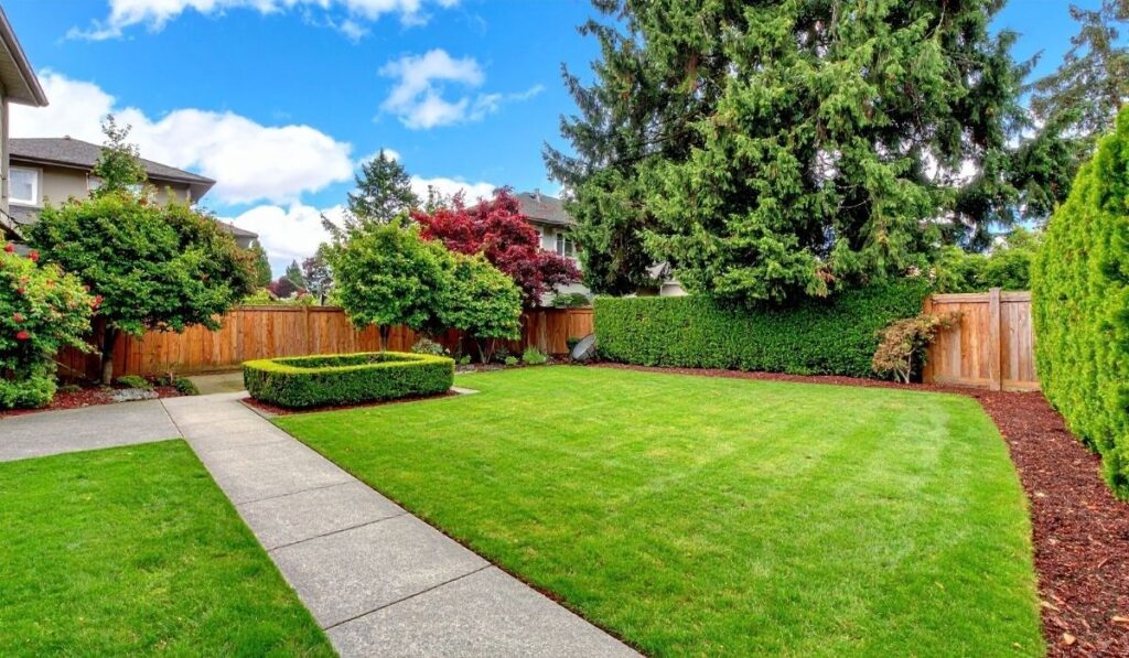 Landscaping and Valuable Trees