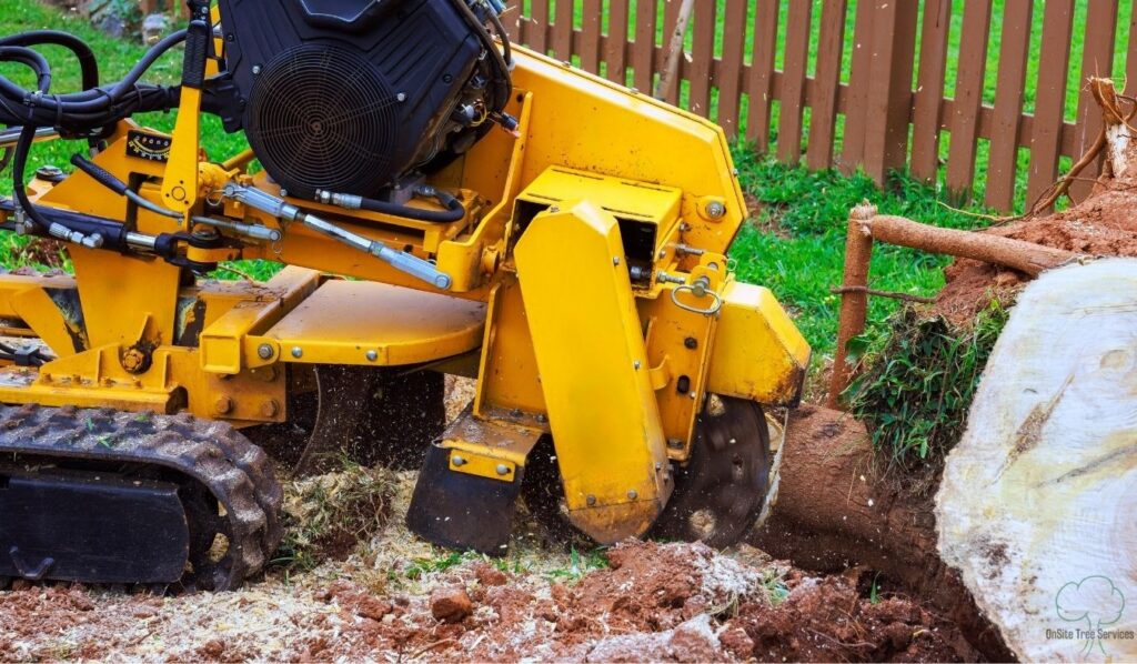 Safety and Risk Reduction