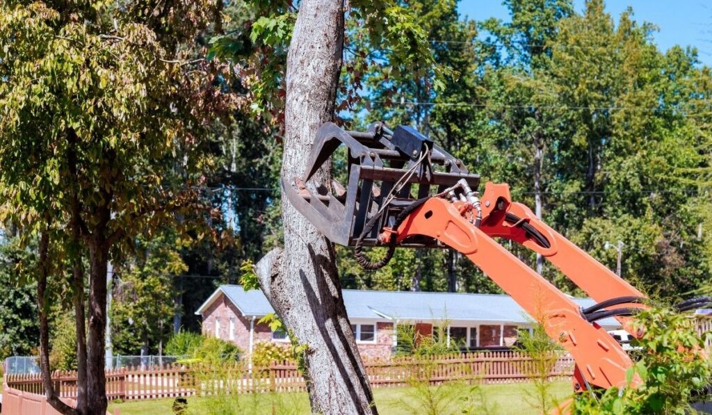 Does Tree Removal Include Stump in Fort Wayne? 2026 Guide for Homeowners