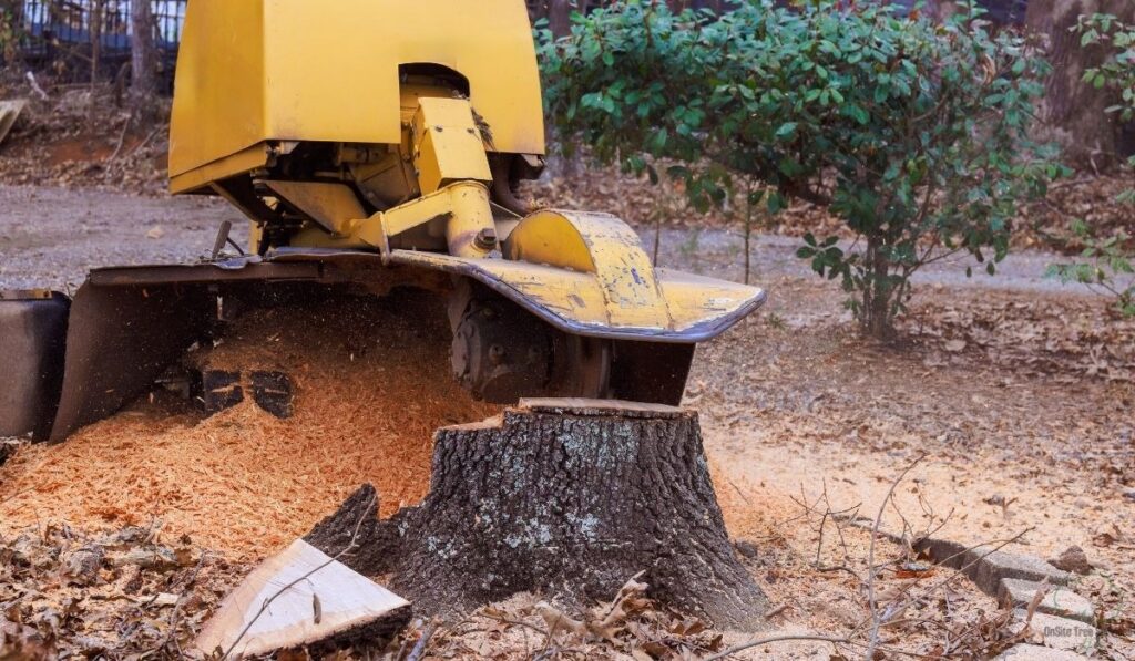 2026 Cost Factors for Tree and Stump Removal in Fort Wayne