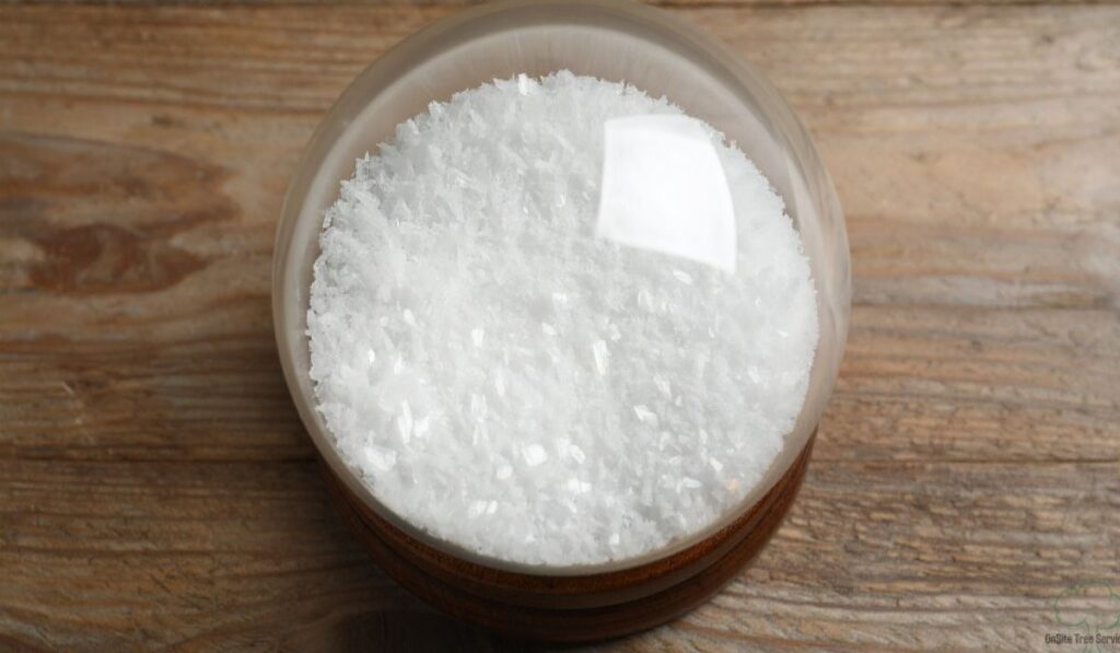 Method 1 – Epsom Salt Method (Most Effective DIY Option)