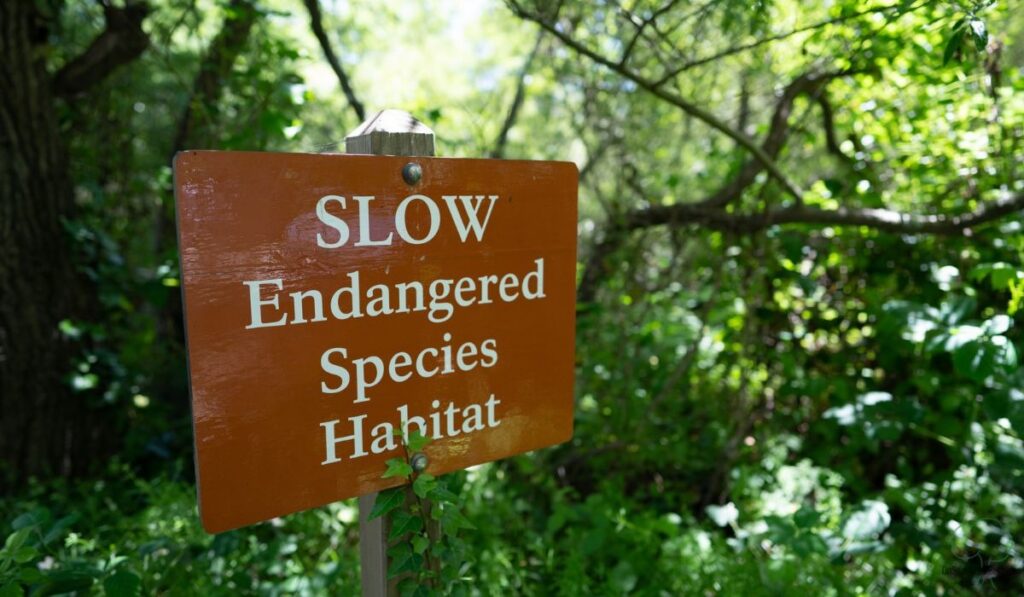 Protecting Connected Habitats