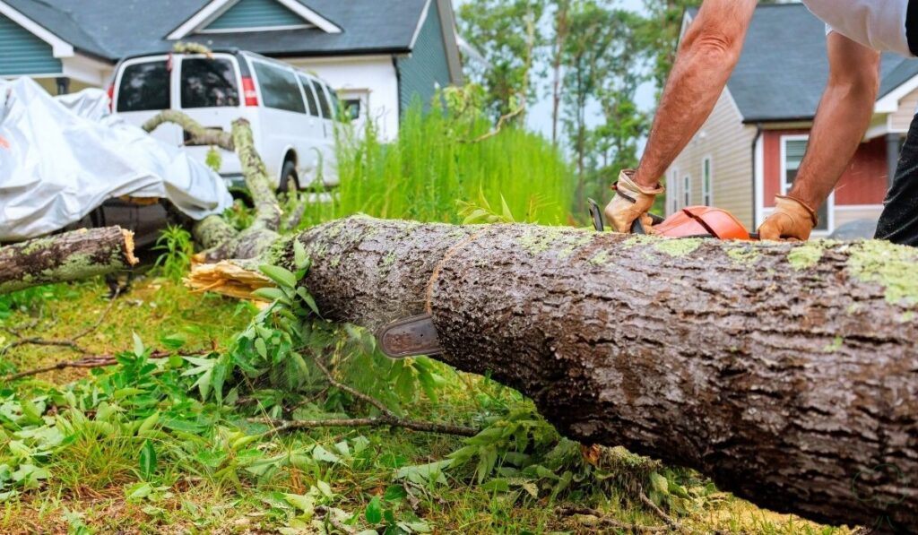 Falling Trees and Storm Damage: Who Pays When Nature Strikes?