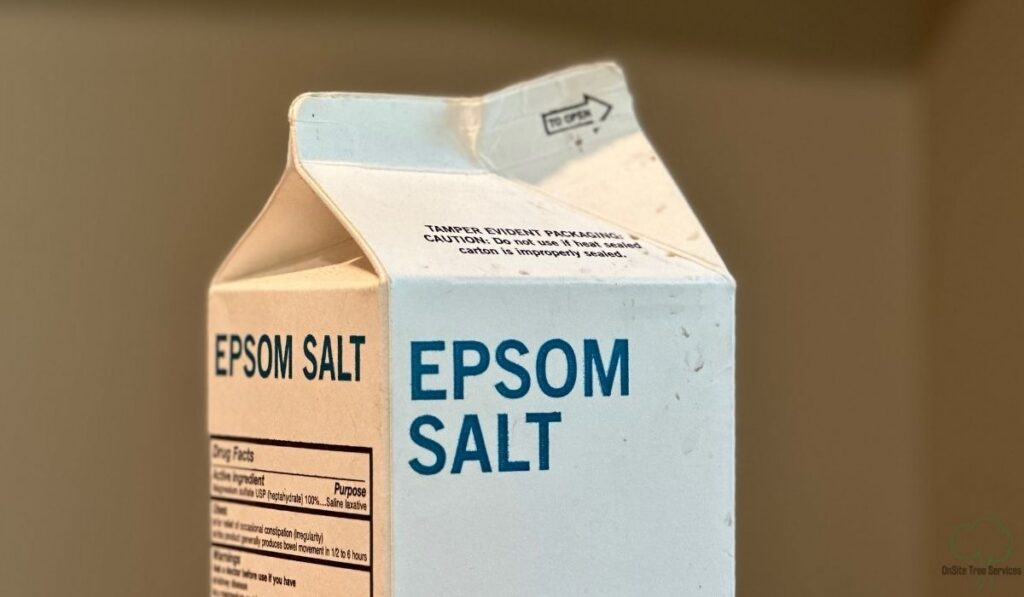 The Science: How Epsom Salt Breaks Down a Tree Stump