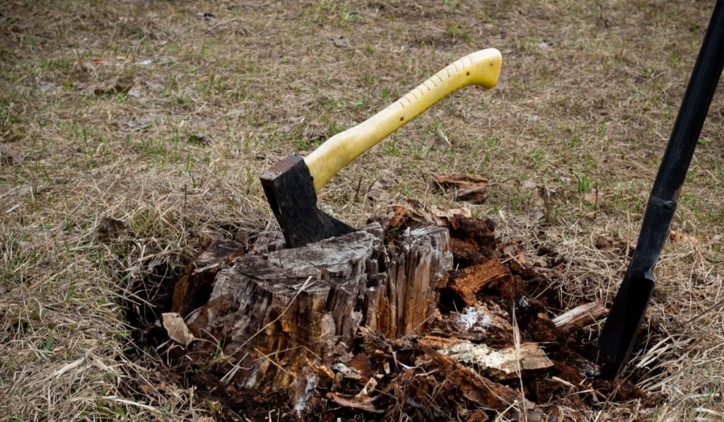 How to Remove a Tree Stump by Hand in Fort Wayne_ Reclaim Your Yard