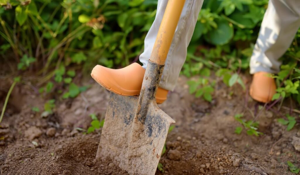 Gather the Right Tools