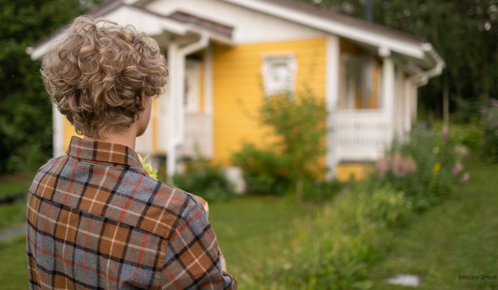 How to Clear Land in Fort Wayne: Methods, Equipment & Step-by-Step Plan