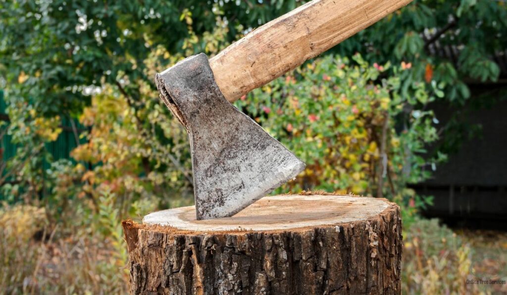 How to Remove a Tree Stump by Hand in Fort Wayne: Reclaim Your Yard