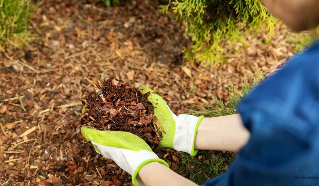 Haul It, Chip It, or Mulch It